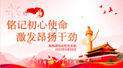 巴黎法国杯名单:姆巴佩兄弟、登贝莱在列,多纳鲁马、什克缺席