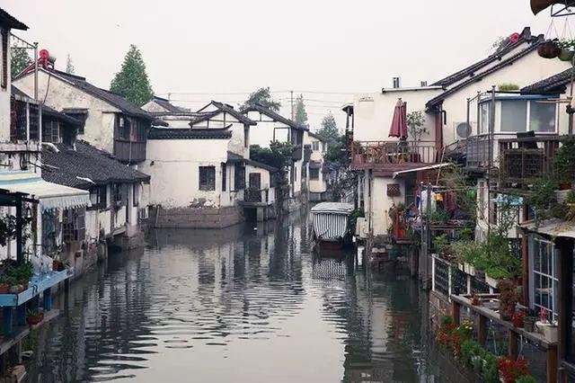 救援大胡子斗士